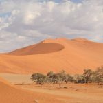 Safari en Namibie : itinéraire de 10 jours entre dunes, désert et faune sauvage